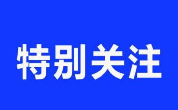 我关注的生活作文5篇