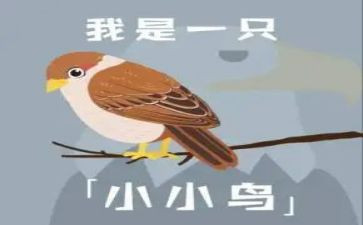 我的小鸟龟作文6篇