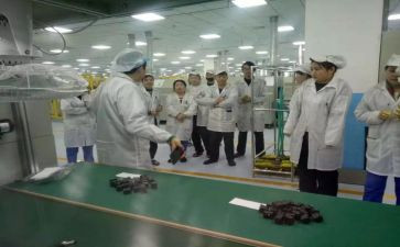 物料组工作总结6篇