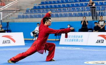 学武术作文300字7篇