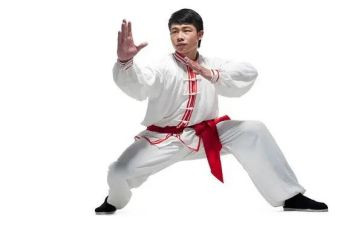 我爱武术的作文5篇