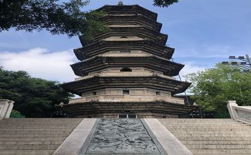 乌塔读后感500字读后感5篇