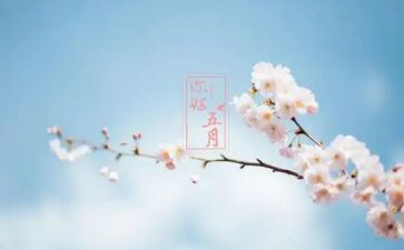 五月周工作计划5篇