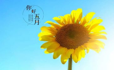酒店五月工作计划7篇