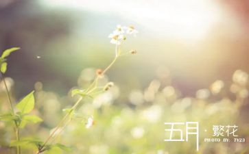五月份周工作计划5篇