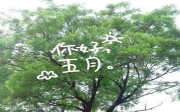 小班五月工作总结6篇