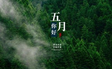 五月工作总结范文参考6篇