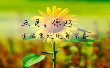 五月班主任工作总结6篇