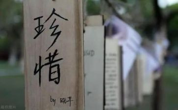 爱惜粮食节约粮食班会教案5篇