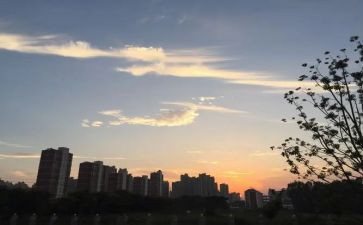 四年级下班务工作计划6篇