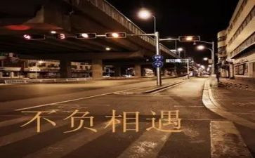 与书相遇作文最新7篇