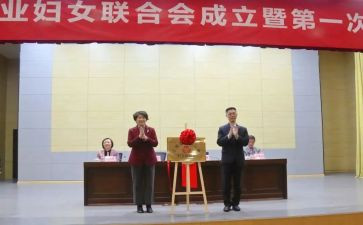 乡镇妇联月工作计划6篇