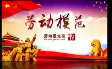 张富清等先进事迹心得体会8篇