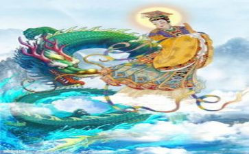 我的植物朋友仙人掌作文5篇