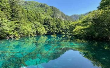 落先生读后感参考6篇