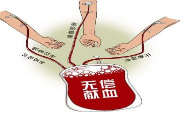 日献血活动方案8篇