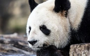 笑的课文读后感5篇