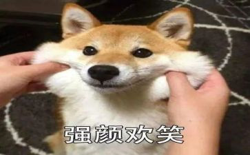 小学生笑作文400字通用6篇