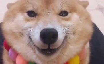 微笑服务演讲稿5篇