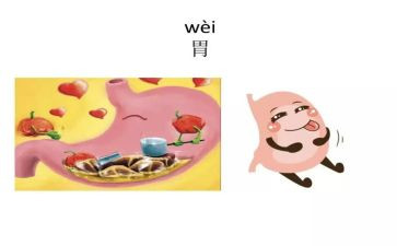 消化科年度总结7篇