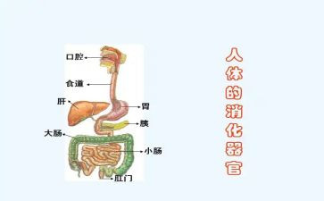 消化内科心得体会6篇