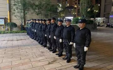 上半年小区保安工作总结6篇