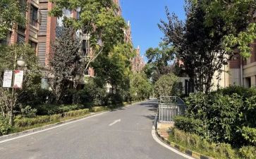 小区物业防汛工作总结8篇