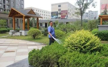 小区物业工作总结模板5篇