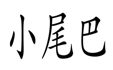 小尾巴教学反思优秀5篇