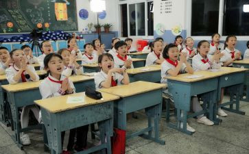 小学校园活动总结范文8篇