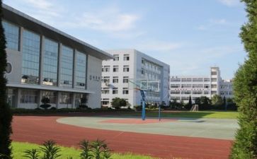 校园安全工作总结8篇