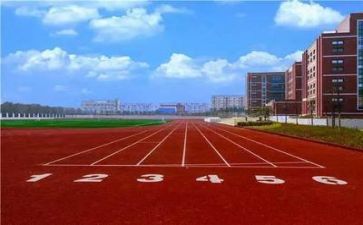 校园生活小作文参考5篇