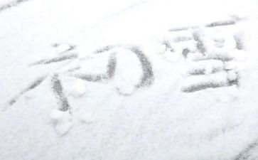 关于下雪的作文8篇