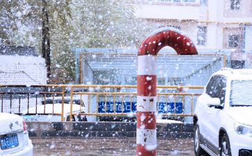 下雪天的安全教案优质8篇