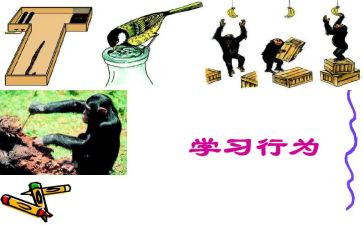 教师违反职业道德行为处理心得体会6篇