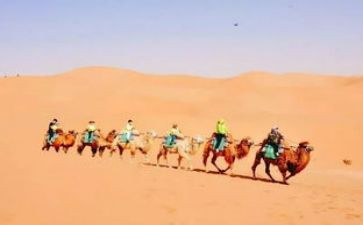 行走在…路上作文通用8篇