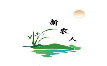 新农村建设调查报告通用6篇