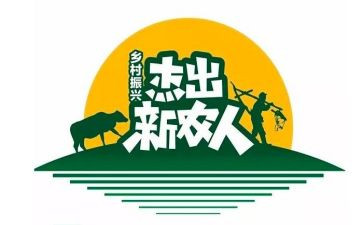 新农村建设调查报告6篇