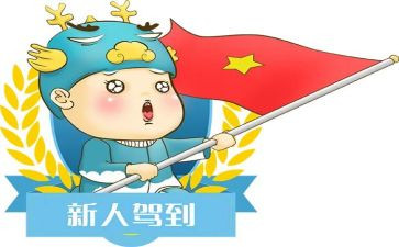 新人个人年度总结范文6篇