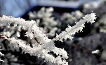 学校除雪心得体会精选7篇
