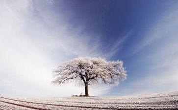 写扫雪的作文400字8篇