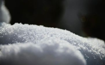 雪有关的小学生作文精选6篇