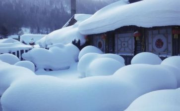 写滑雪的作文600字7篇