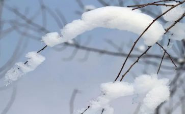 雪我的最爱作文7篇