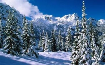 程门立雪读后感400优质5篇