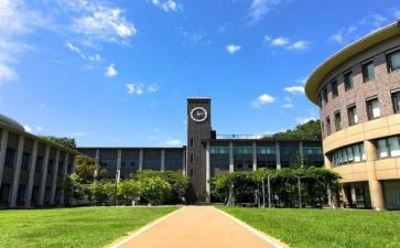大学部门工作个人总结7篇