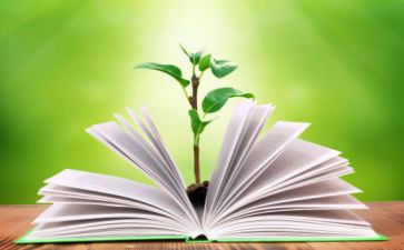 小学科学工作工作计划5篇