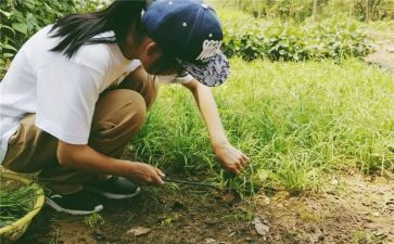 小学农村班主任工作总结8篇