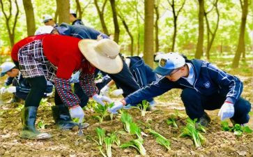 学农心得体会模板7篇