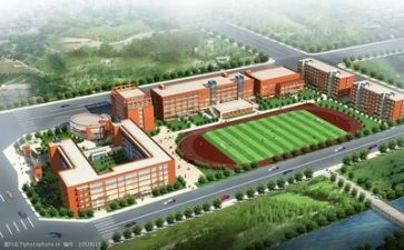 学校个人年终述职报告6篇